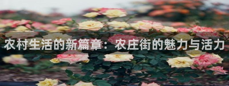 天辰娱乐 qq