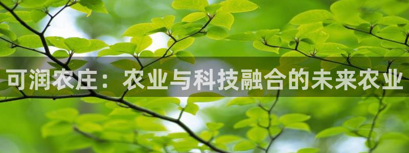 天辰娱乐675138