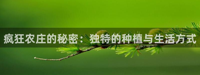 辰天娱乐用品