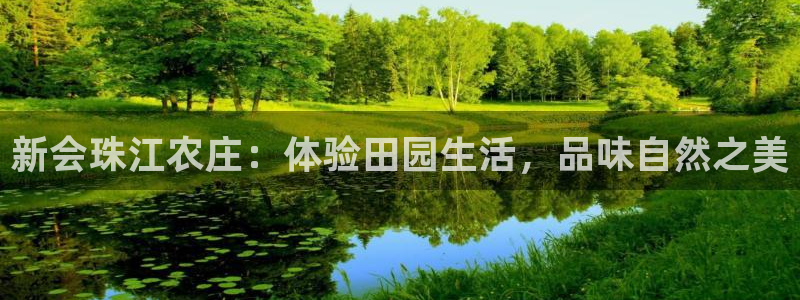 天辰娱乐平台注册