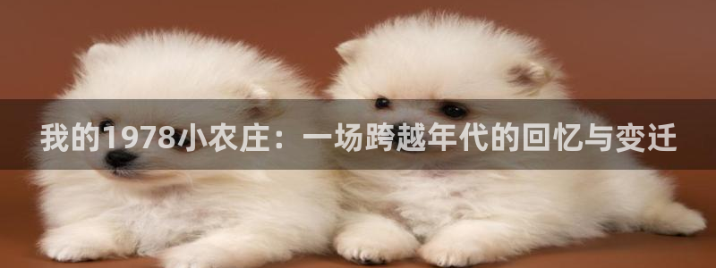 天辰娱乐注册