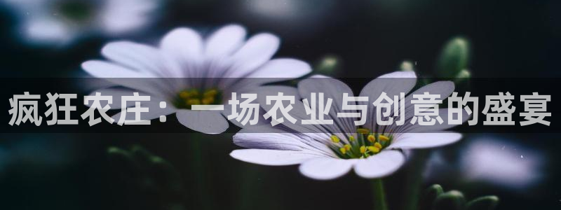 天辰娱乐44516