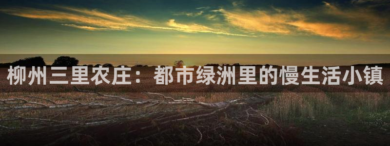 天辰彩票娱乐