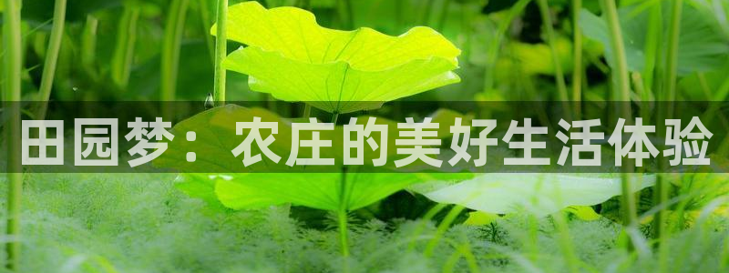 天辰娱乐网