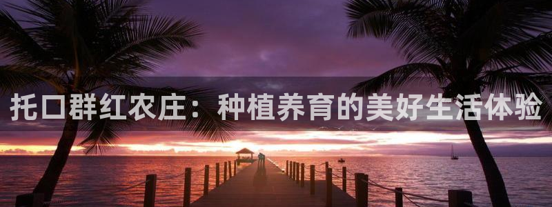 天辰娱乐股票