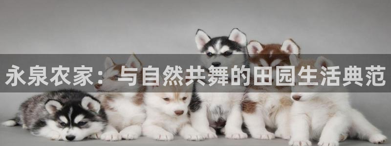 天辰娱乐咋样