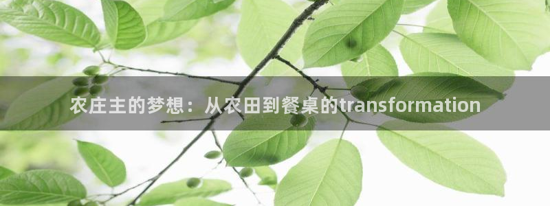天辰娱乐