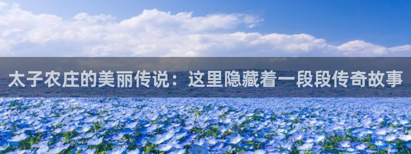 天辰娱乐会员