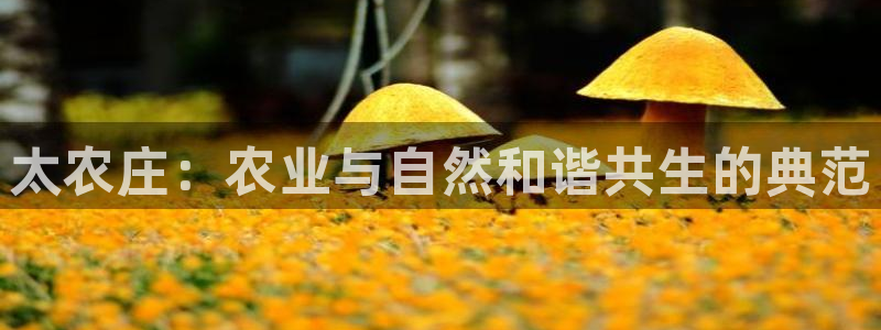 天辰娱乐登录测试