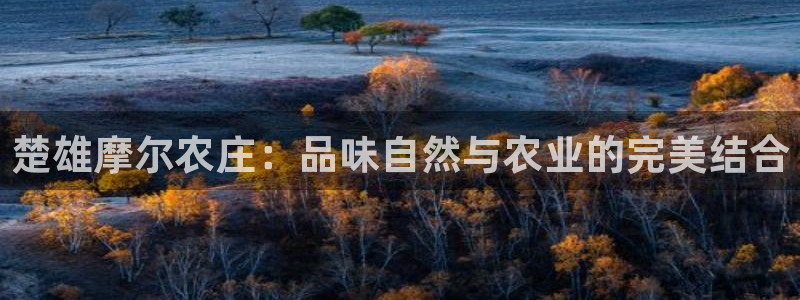 天辰娱乐平台靠谱么