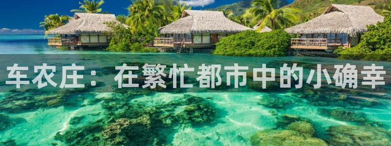 天辰娱乐44516