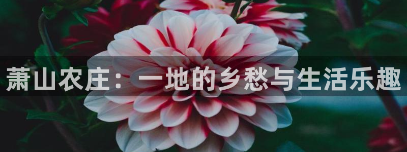 天辰娱乐平台靠谱么
