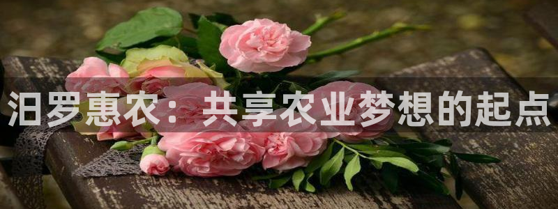 天辰娱乐885544