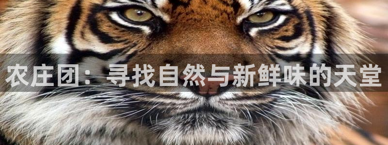 天辰娱乐鱼刺
