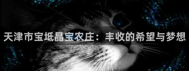 天辰娱乐测速