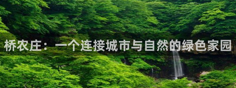 天辰娱乐游客