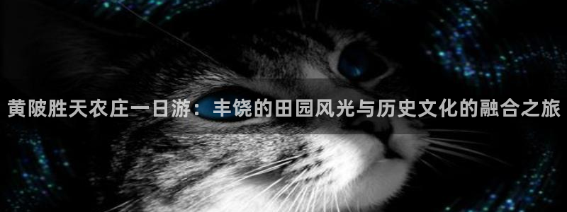 天辰娱乐44516