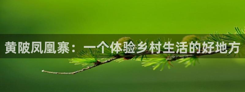 天辰辰娱乐代理