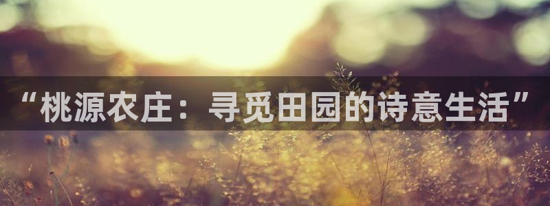 天辰娱乐481928