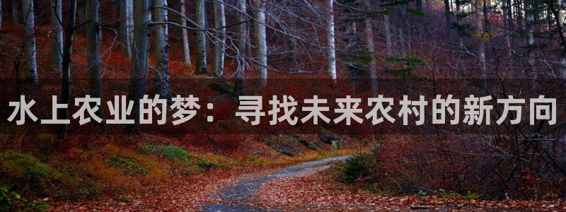 天辰娱乐 首选