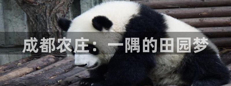 天辰娱乐元宝