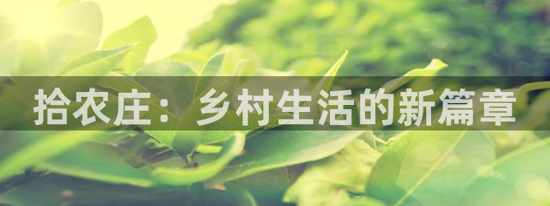 天辰娱乐小姐