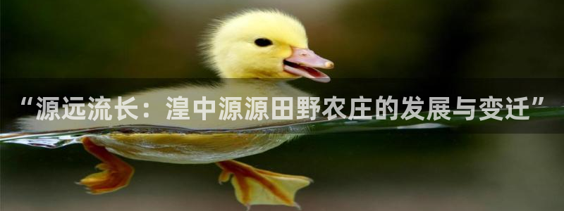 天辰娱乐675138