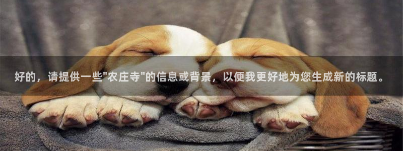 天辰娱乐 qq