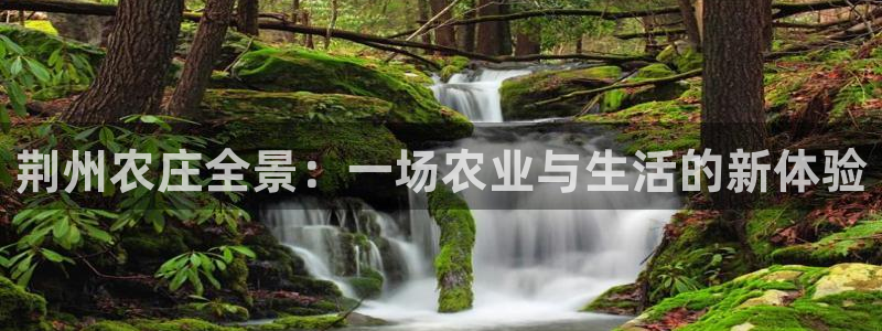 天辰娱乐欢乐