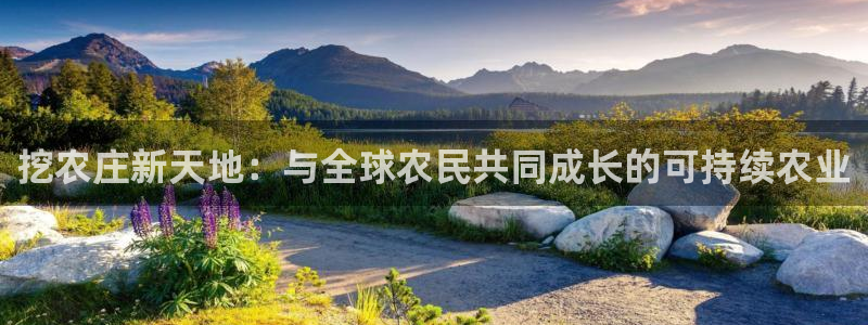 天辰国际娱乐