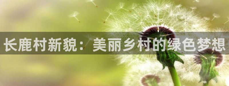 天辰娱乐股票