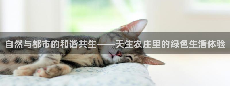 天辰天辰娱乐