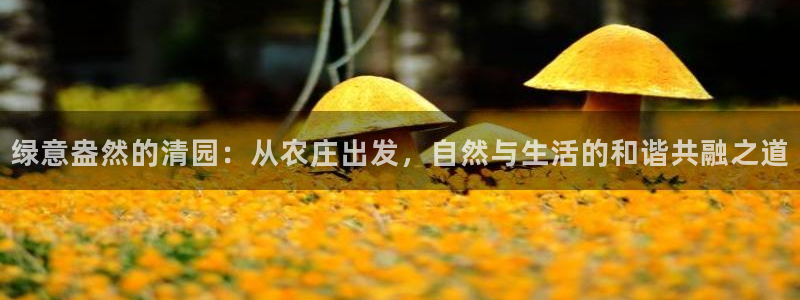 天辰娱乐在线