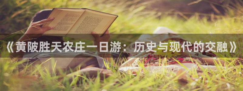 天辰娱乐