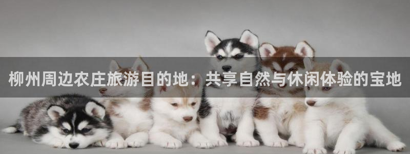 菲律宾天辰娱乐