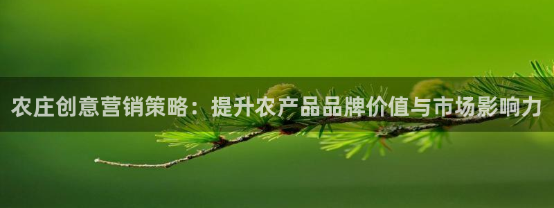 辰天娱乐