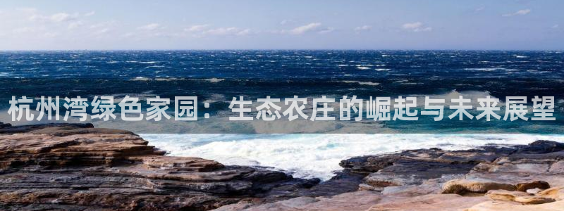 天辰娱乐股票