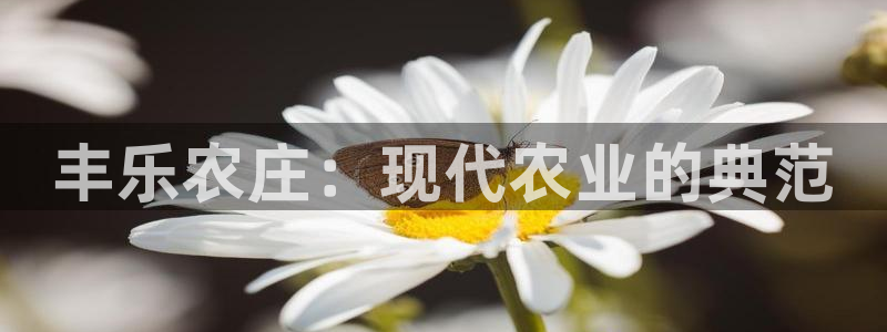 天辰团队贝高娱乐