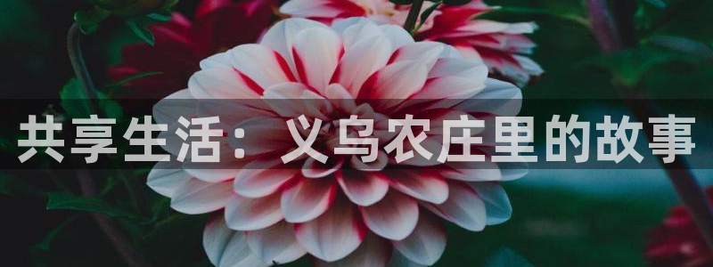 天辰娱乐台湾