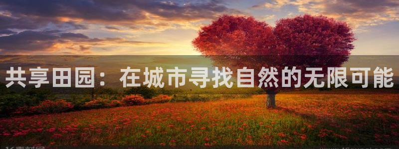 天辰娱乐代理