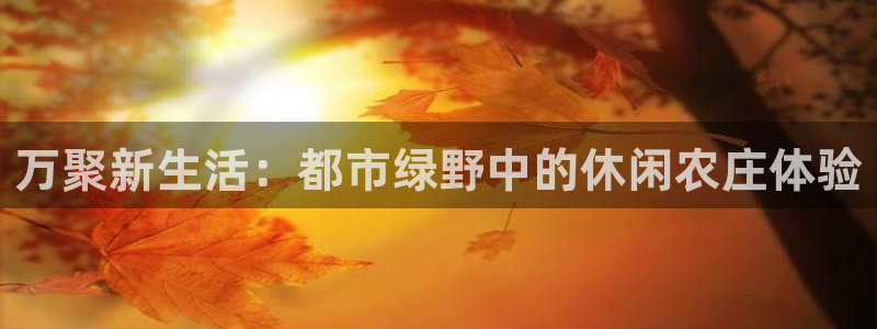 天辰娱乐1996