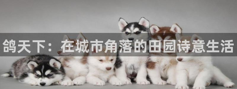 天辰娱乐地址