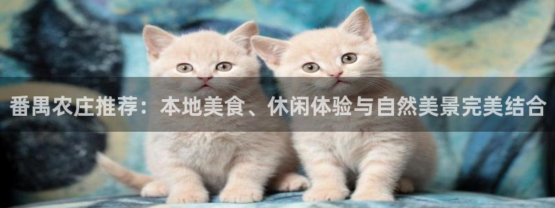 天辰娱乐元宝