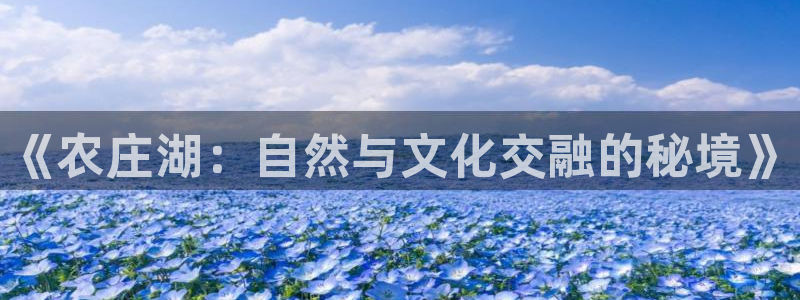 天辰娱乐厕所