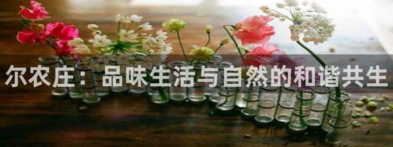 天辰娱乐2