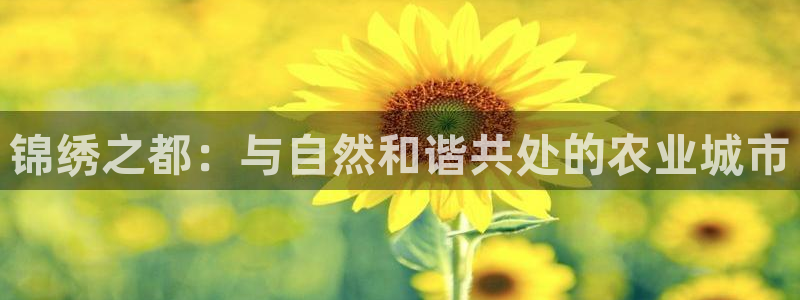 天辰臣娱乐