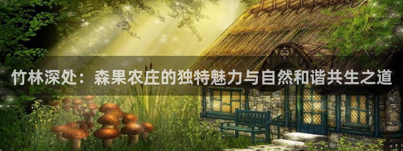 天辰娱乐视频
