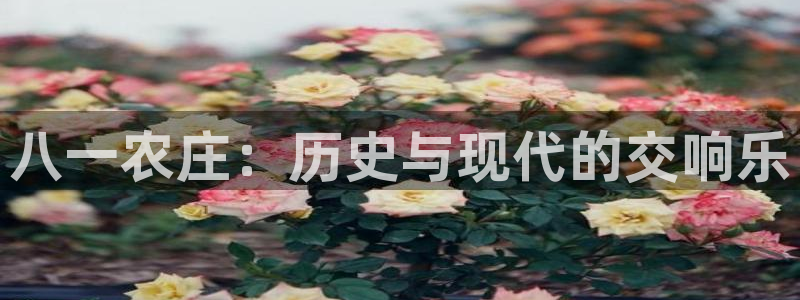 天辰2娱乐