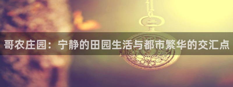 天辰娱乐棋牌