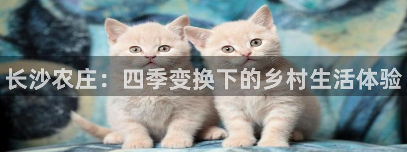 天辰娱乐待遇